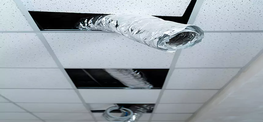 Affordable HVAC Sanitizing After Pest Removal in Pasadena