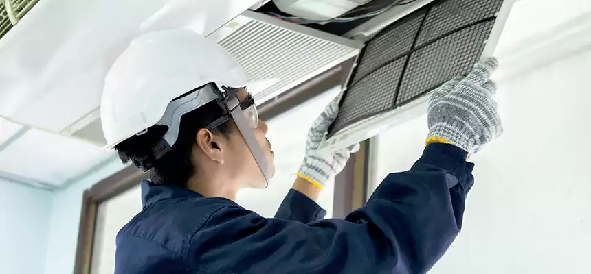 Our Mold & Mildew Removal from Air Ducts Services in Pasadena, TX