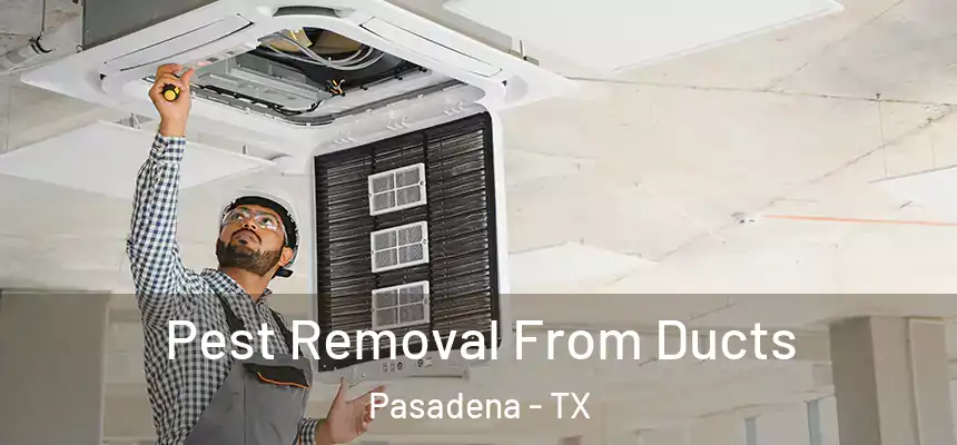  Pest Removal From Ducts Pasadena - TX