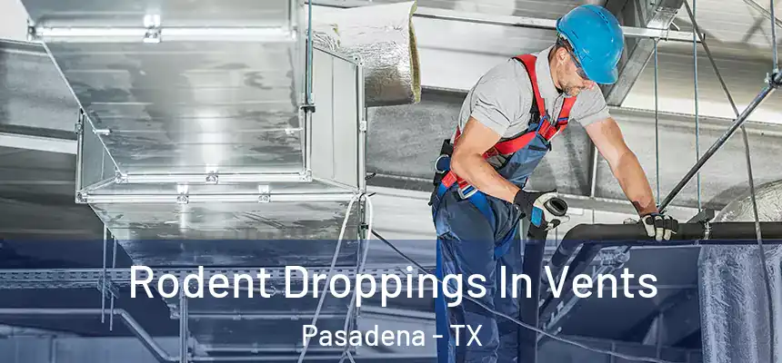  Rodent Droppings In Vents Pasadena - TX