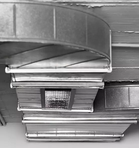 Professional Air Duct Pet Hair Removal in Pasadena, TX