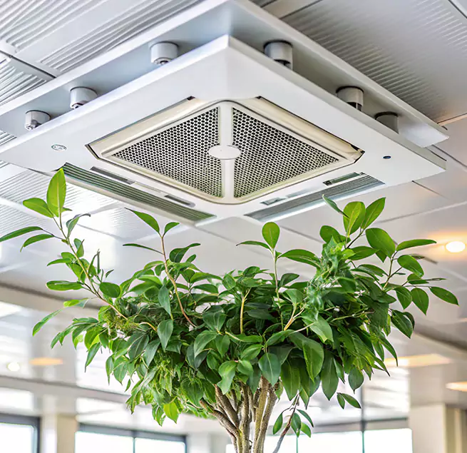 Why Homeowners & Businesses Trust Us in Pasadena, TX